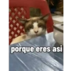 Mis pegatinas 16