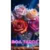 Novo pacote 5