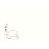 Cat 8