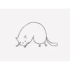 Cat 6