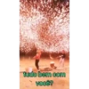 Novo pacote 16