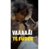 ROLEZINHO  17