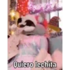Burrita burrona 8