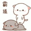 Cute couples  19