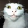 Memes Tiktok reaction 8