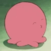 Animeses 5 12