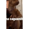 Ghh 13