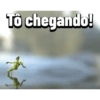 Minhas figurinhas1 26