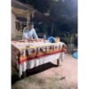 Familia  10