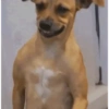 Funny very funny 18