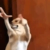 Funny very funny 11