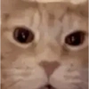 Funny very funny 9