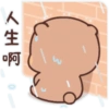 一二布布20 18