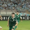 Piqueréz | Palmeiras 22