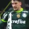 Piqueréz | Palmeiras 17