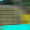 Piqueréz | Palmeiras 11