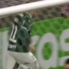 Piqueréz | Palmeiras 15