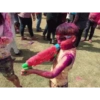 Holi Stickers  8