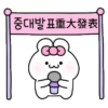 可愛的兔子TOTO 24