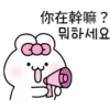 可愛的兔子TOTO 16