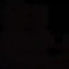 TWITTER VEYR 7