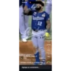 Gif 8