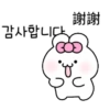 可愛的兔子TOTO 19