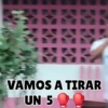 Andre 8