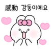可愛的兔子TOTO 23