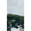 Gif 9