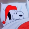 ❨･¨⬮SnOOpy 2 5