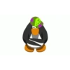 Club penguin  11