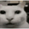 Aaaaaaaaaaaok 17
