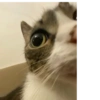 Aaaaaaaaaaaok 16
