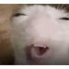 Aaaaaaaaaaaok 26