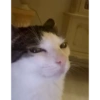 Aaaaaaaaaaaok 8