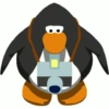 Club penguin  6