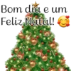 Nat 5