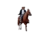 Animadas 8