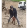 Animadas 9