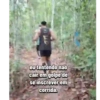 Natação  23