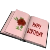 Aniversário 15