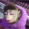 Monkey 18