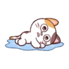 Pegatinas 5