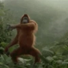 Monkey 21