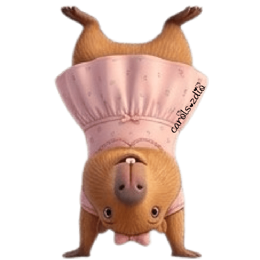 Capibara 🦫 coquette 🎀 15