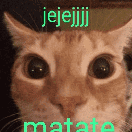 Gatos Majaderos 😳 4
