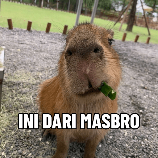 Masbro capybara🔥 3