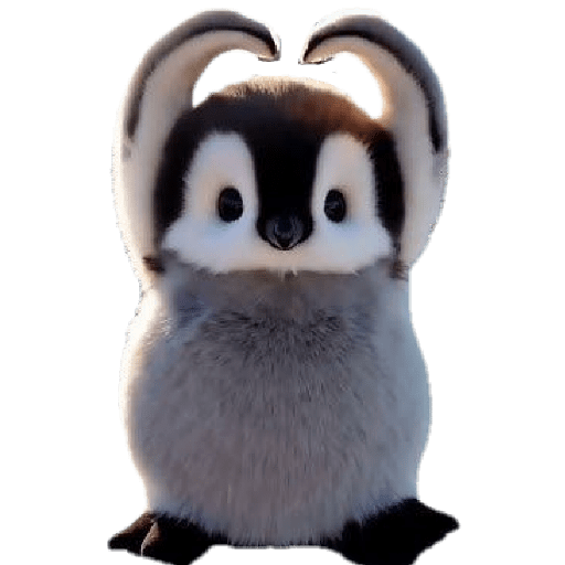 Pingüinos Stickers Varios 🐧  13