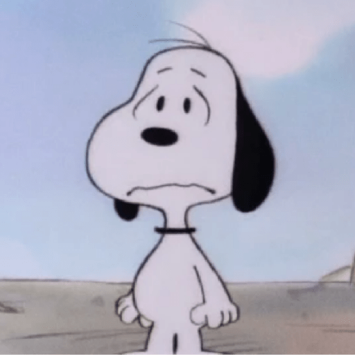 🐾Snoopy 4🐾 3